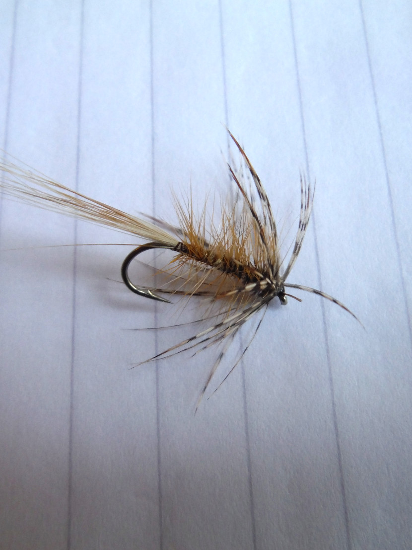 Monnow Gosling